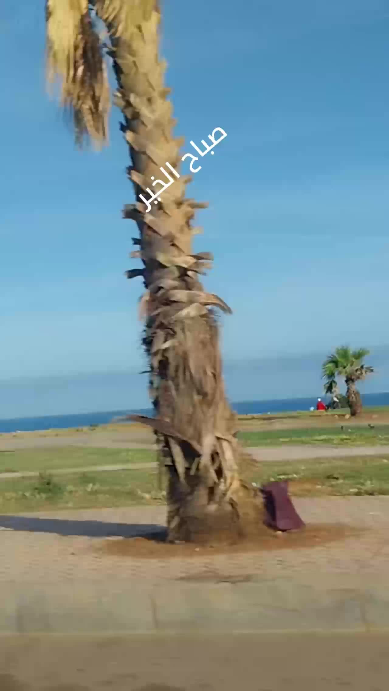 @sofyafakir