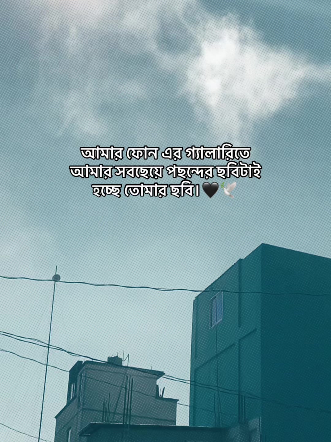 @️ ✭𓅃𝘼𝙡𝙞𝙛 𝙫𝙖𝙞