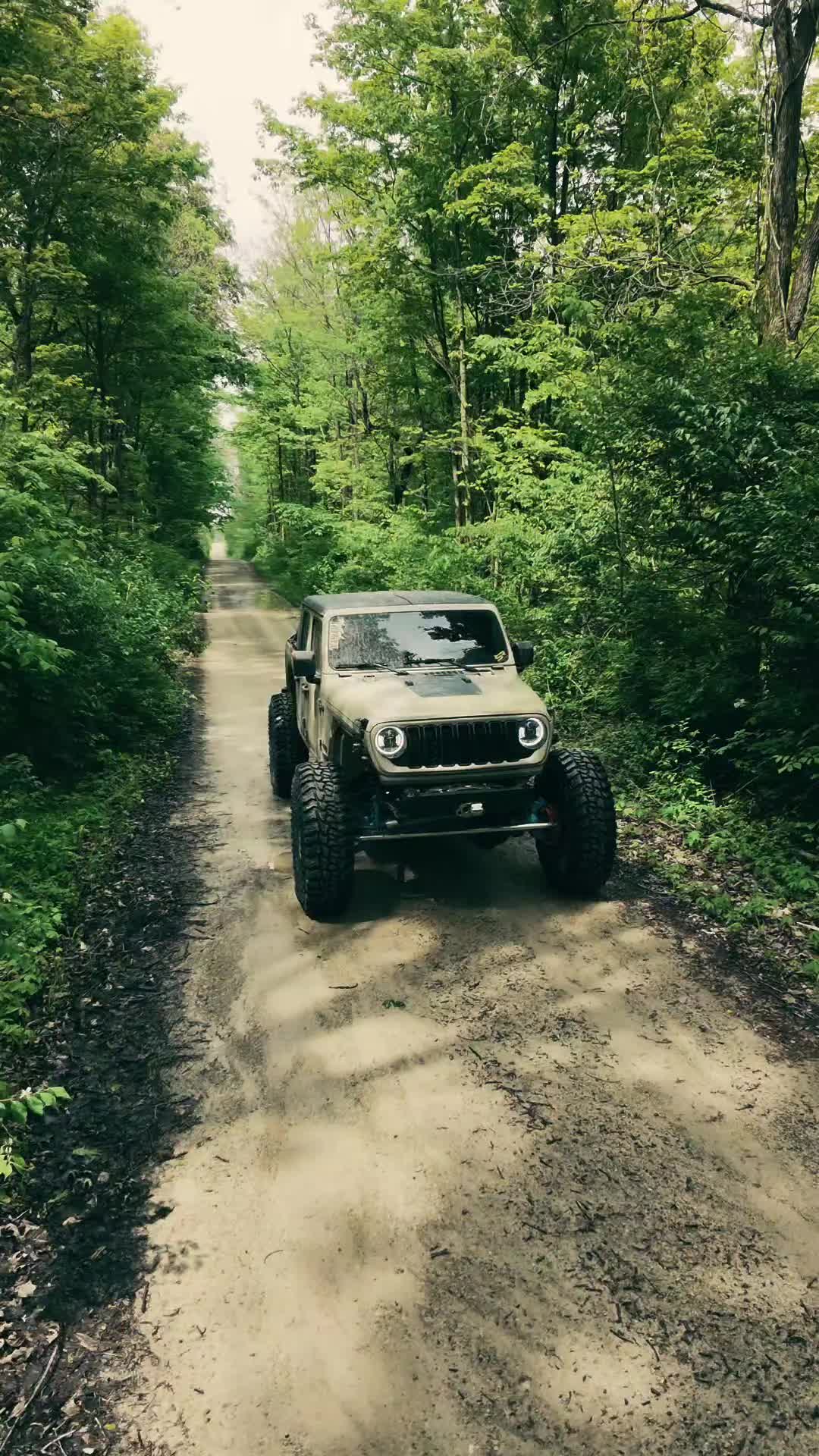@Sven_the_jt