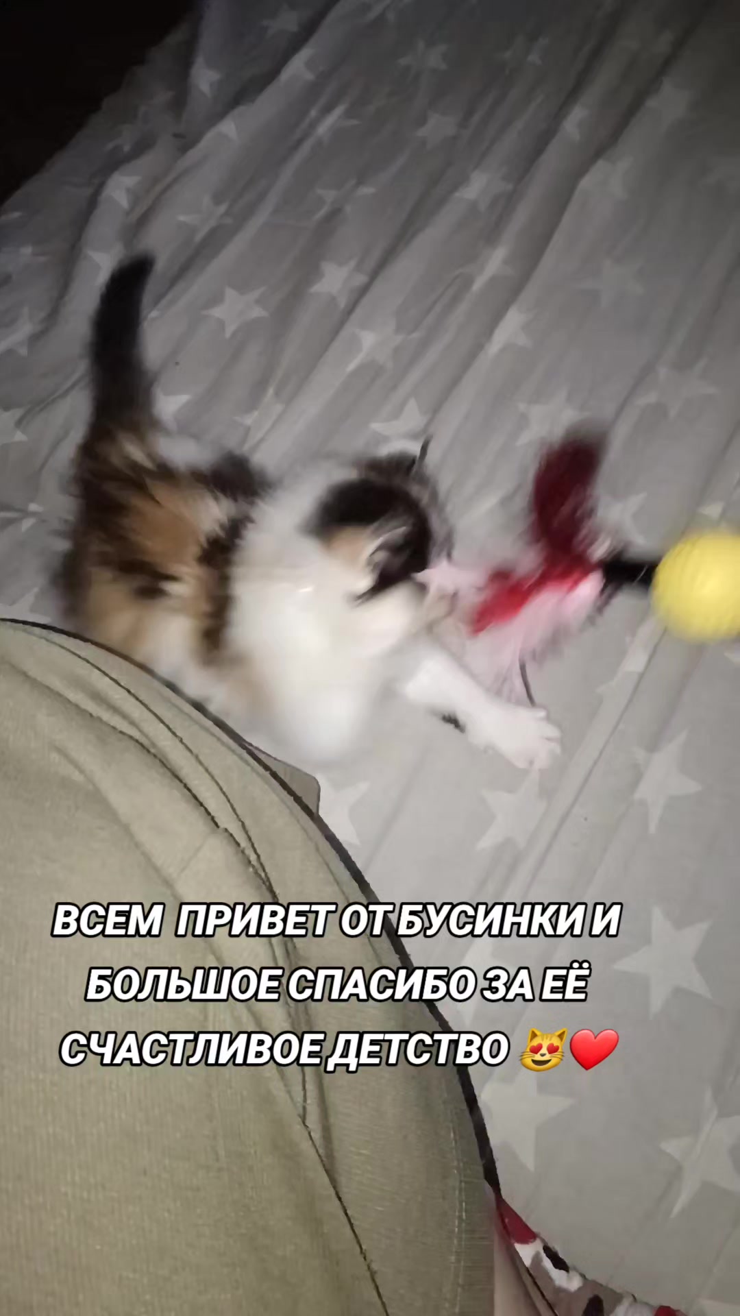 @marinka20_09