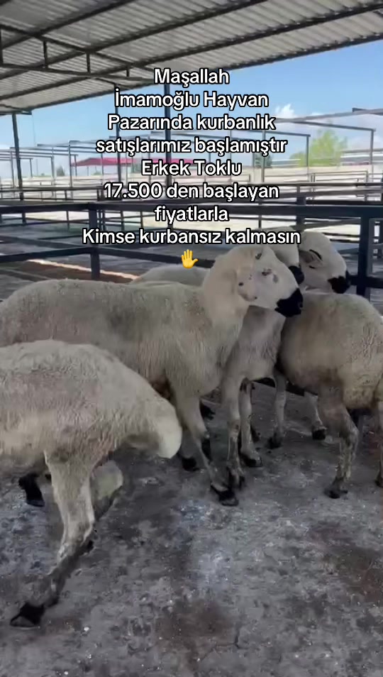 @G&uuml;ven897