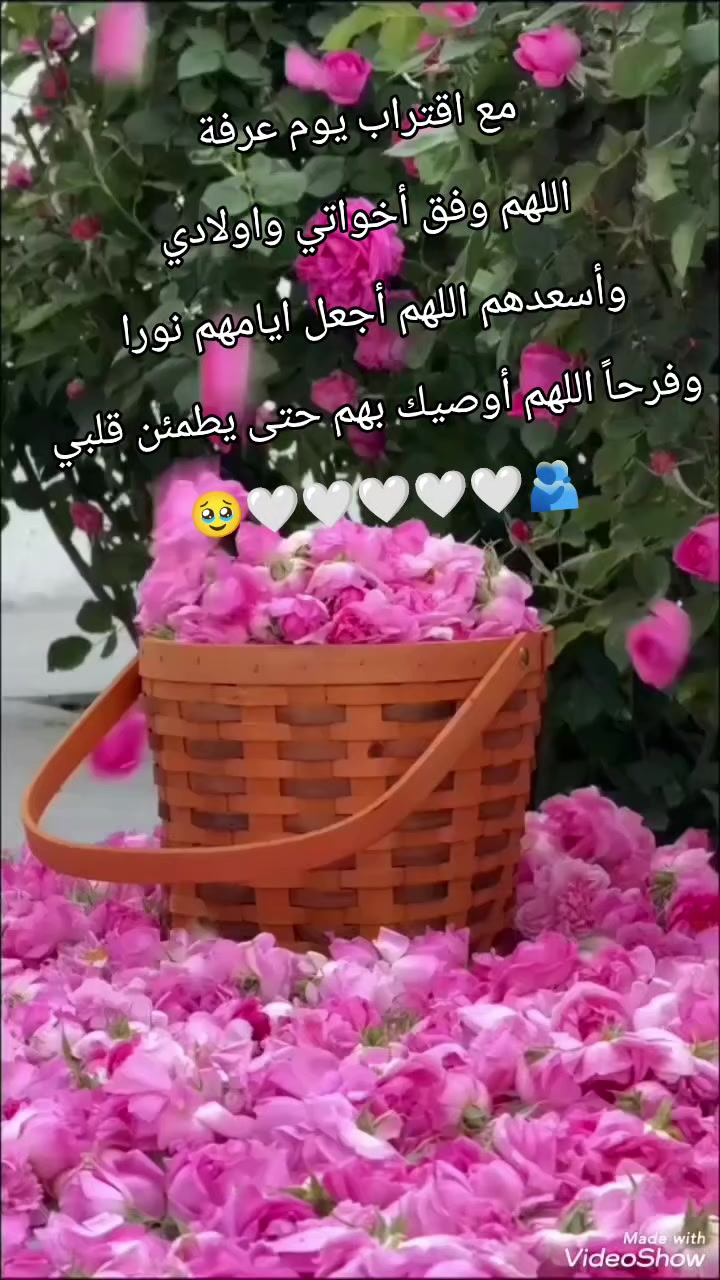 @صہٰۣمہتہٰۣ ألأشہٰتيہٰاق🕊️🍃