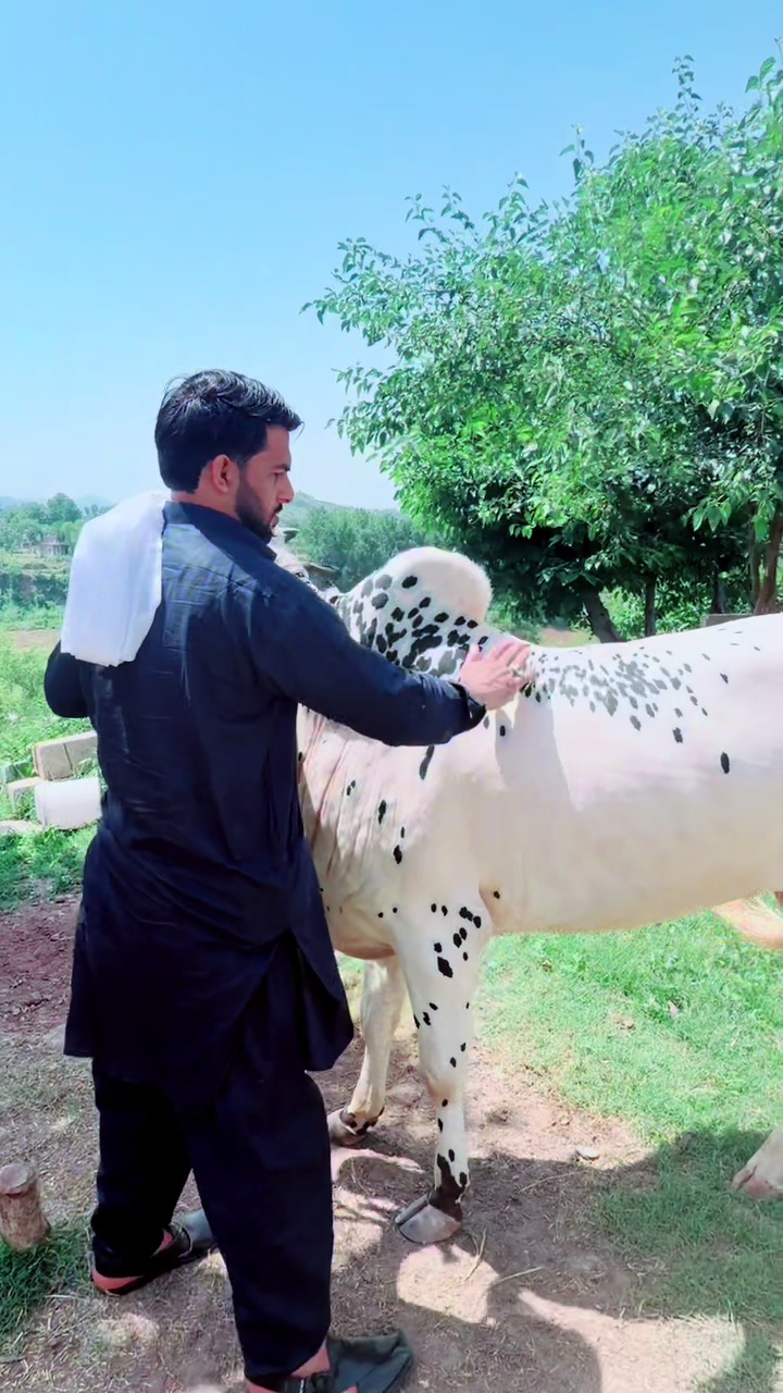 @rashid Kashmiri 01