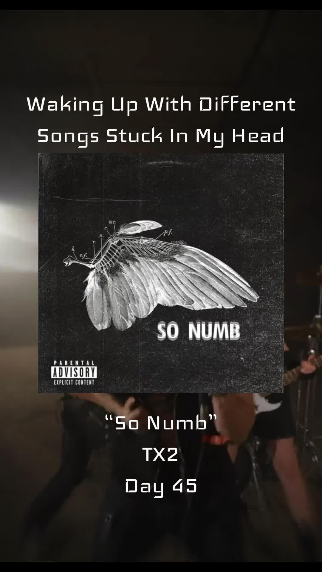 @This Morning&rsquo;s Song