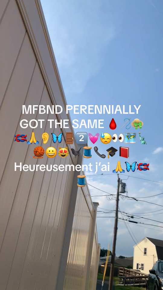 @Neite@Decimus.Papillonvert