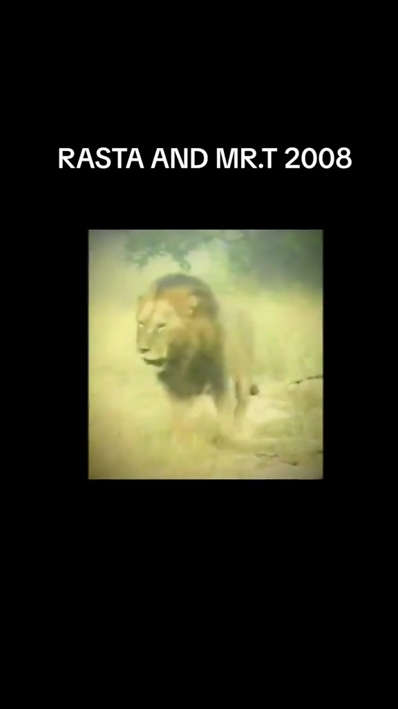 @MLOWATHİ MAPOGOS KİNG MR.T