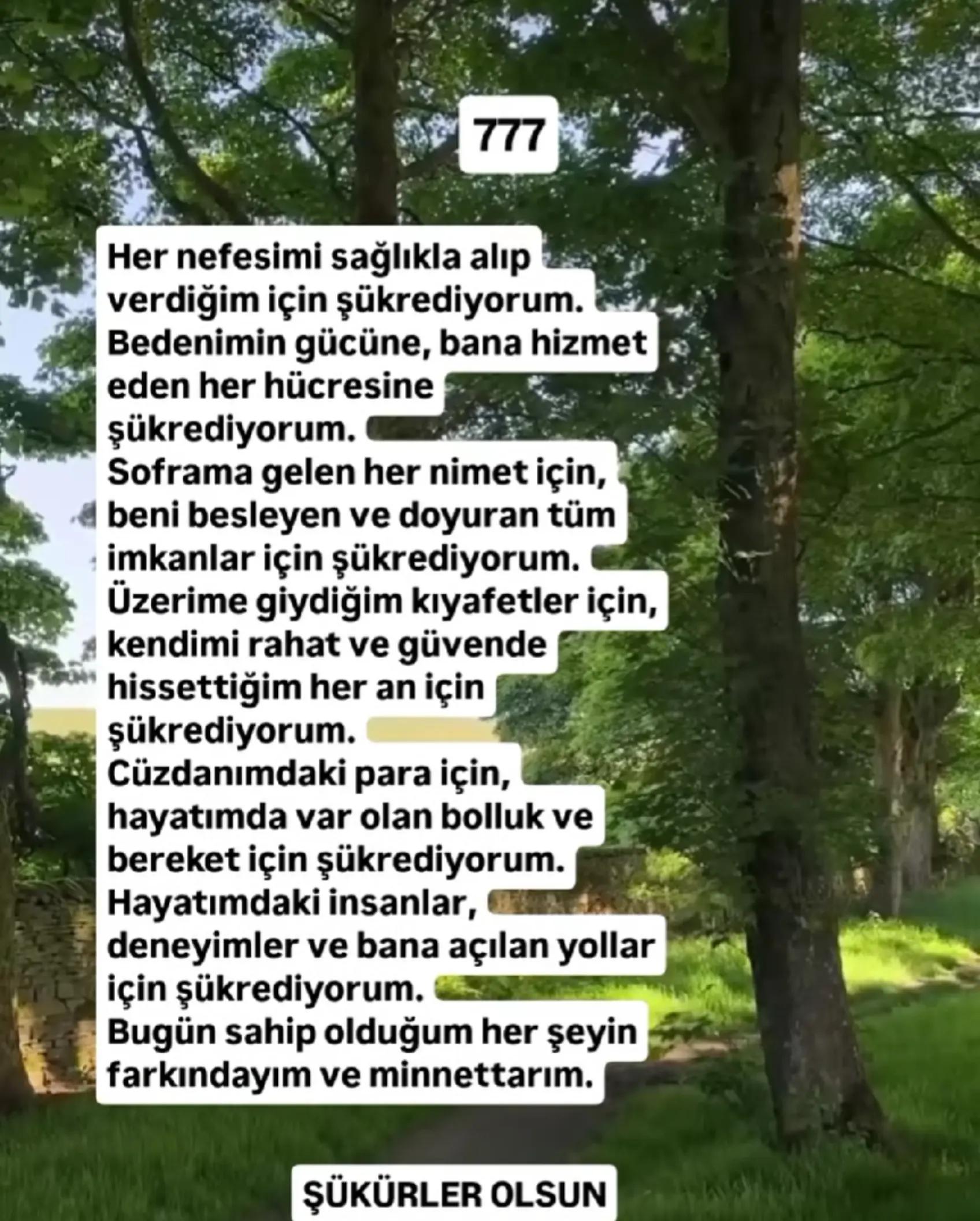 @ipeksi_şiirler hidaye