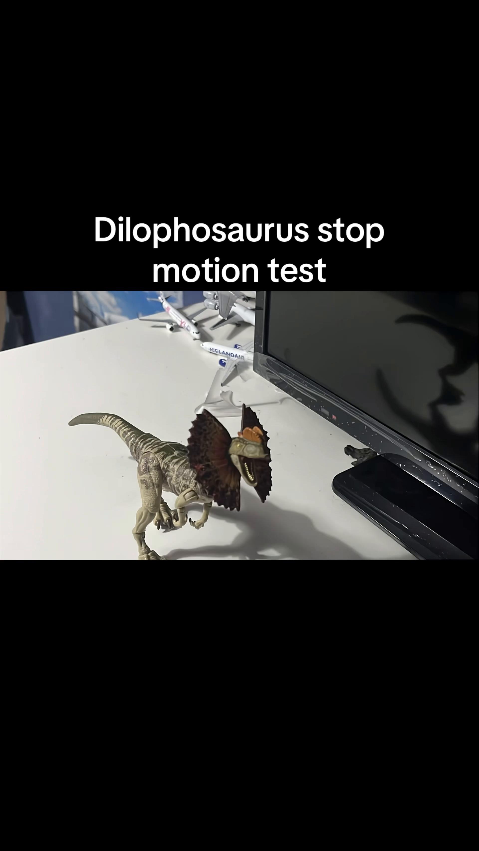 @🦖Pilgrims_fossils2012🦕