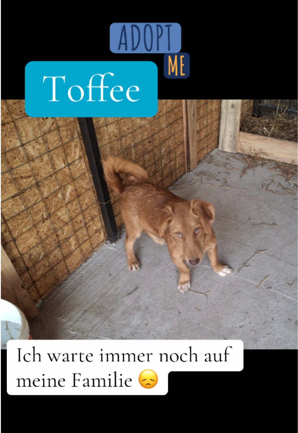 @Soulistas.Tierliebe