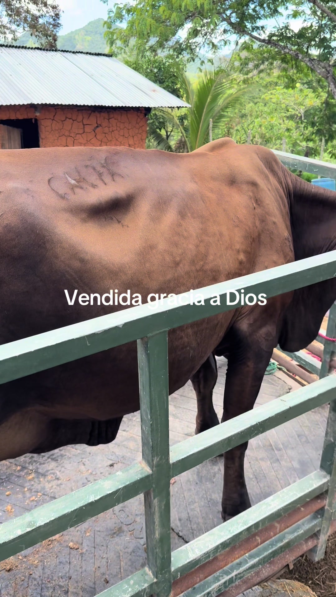 @Rancho.la Gloria&hellip; PB