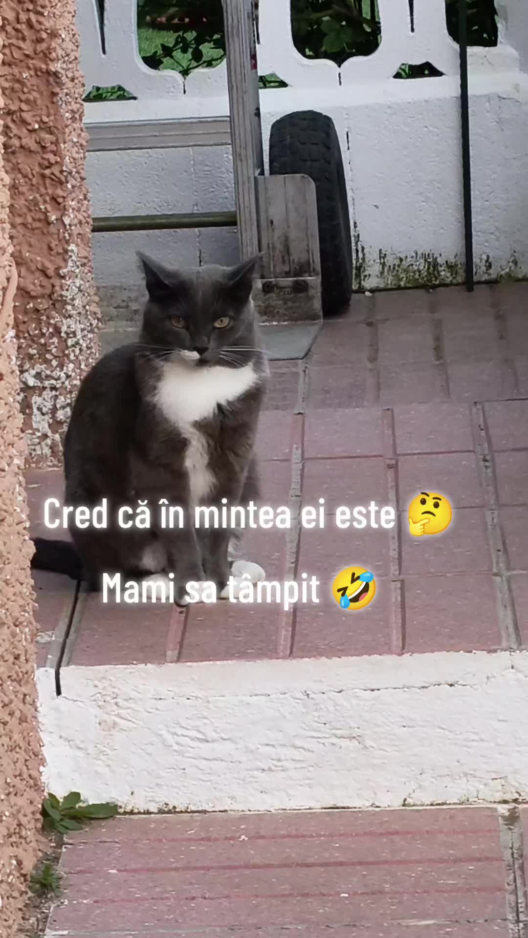 @Lidia Nan