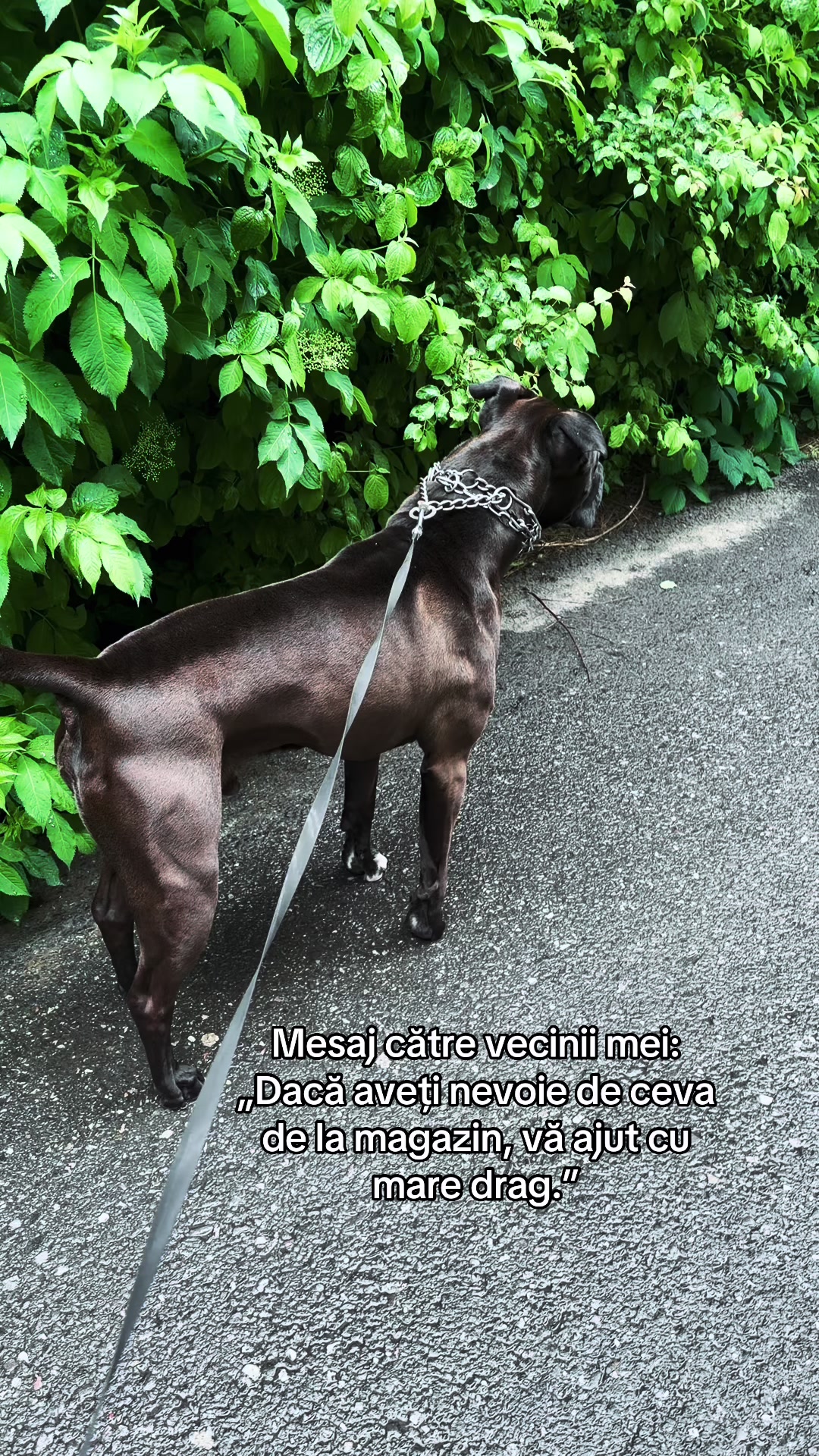 @MIHAI
