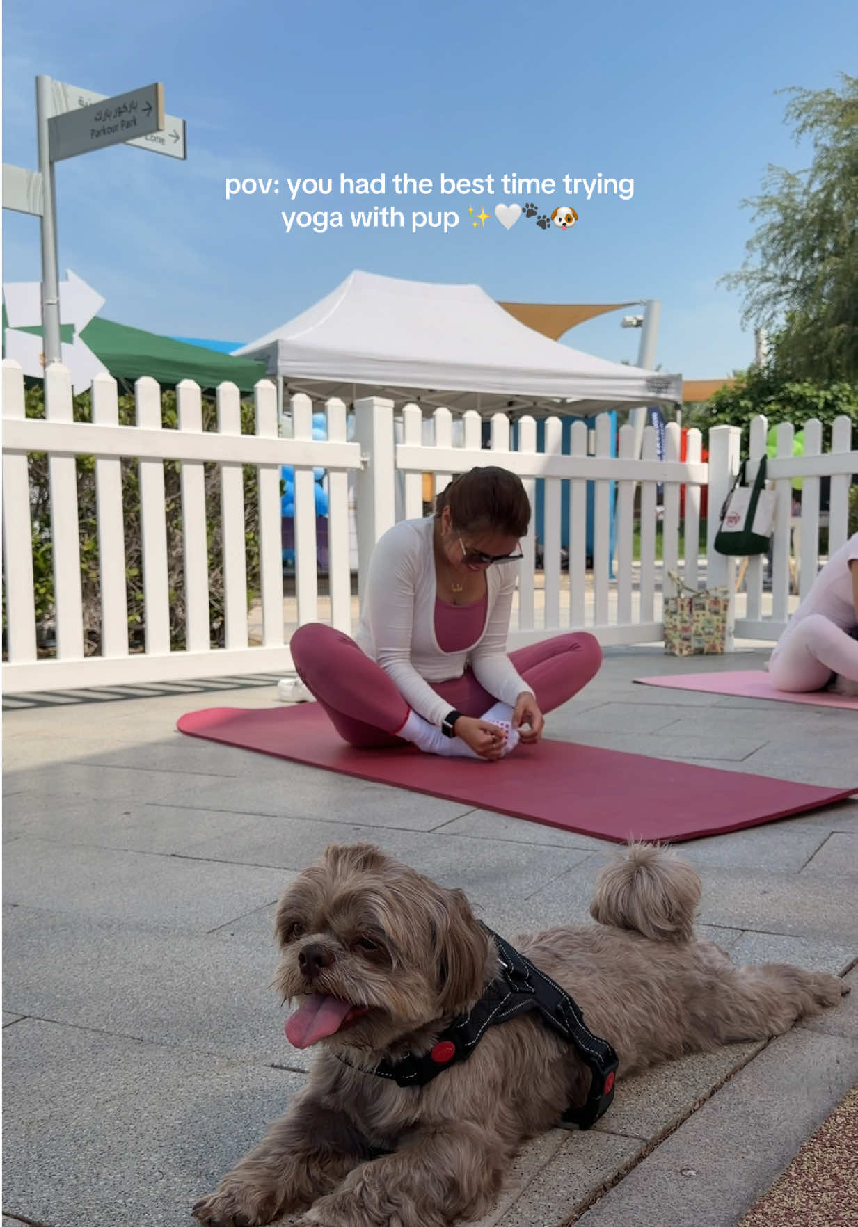 @Jo&rsquo;s Life in Abu Dhabi🇦🇪