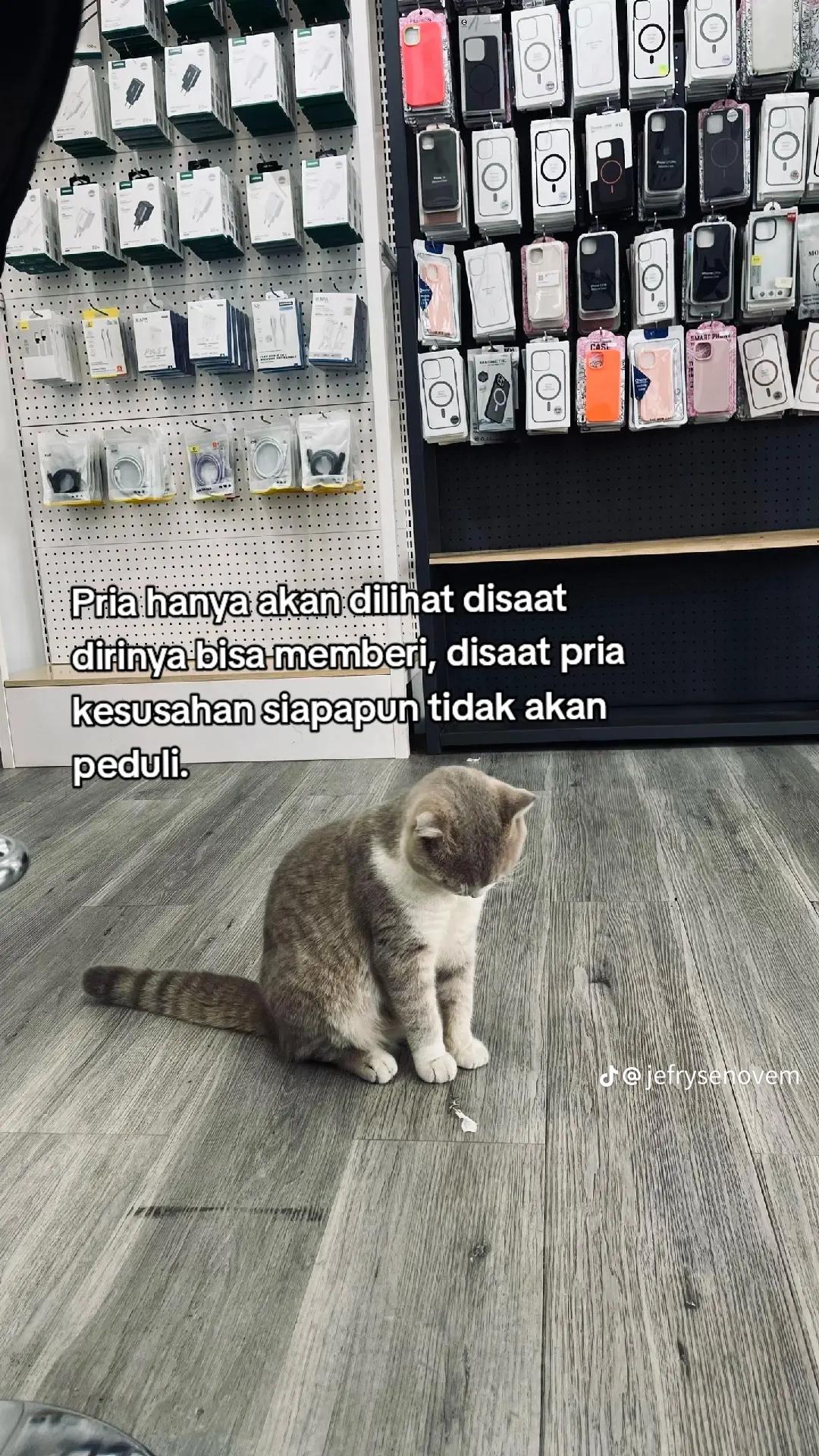 @Arek ˗ˋˏ𝐐ˎˊ- 🐒🔥