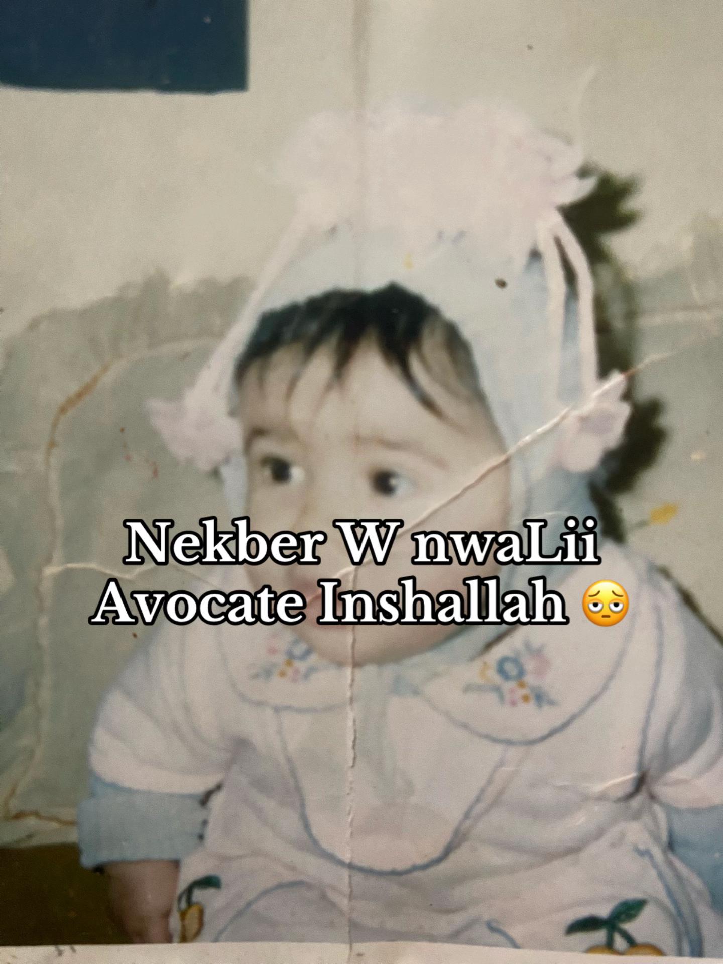 @mek.malak