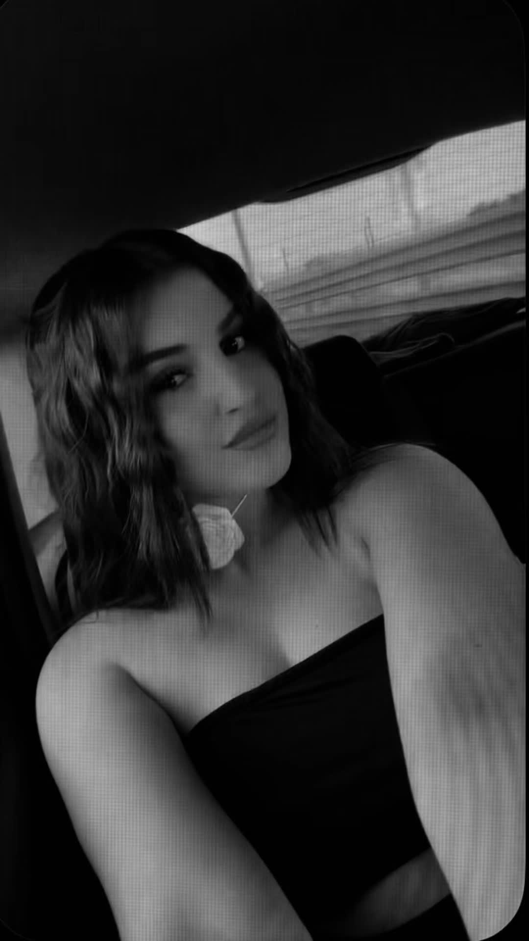@AMBRA🐆