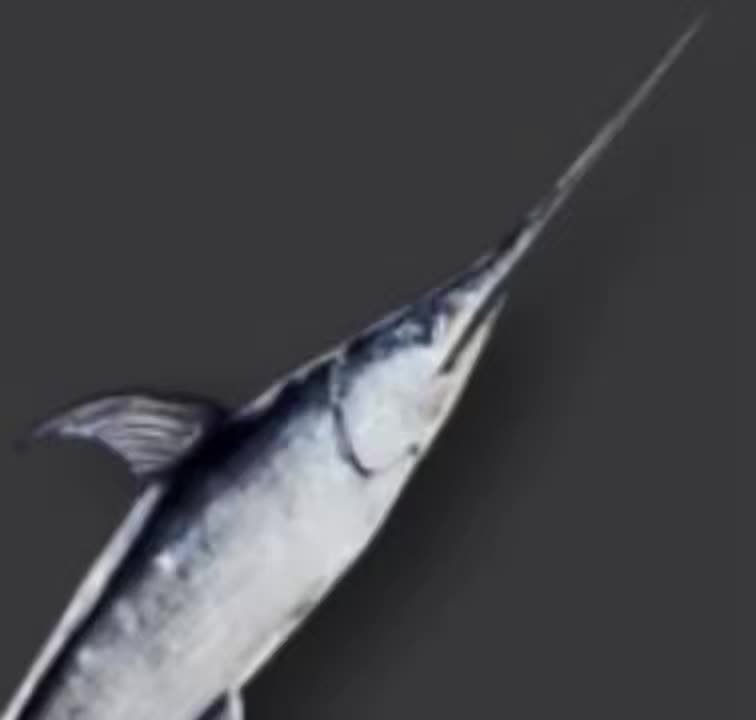 @ANGRYGAMERAngry