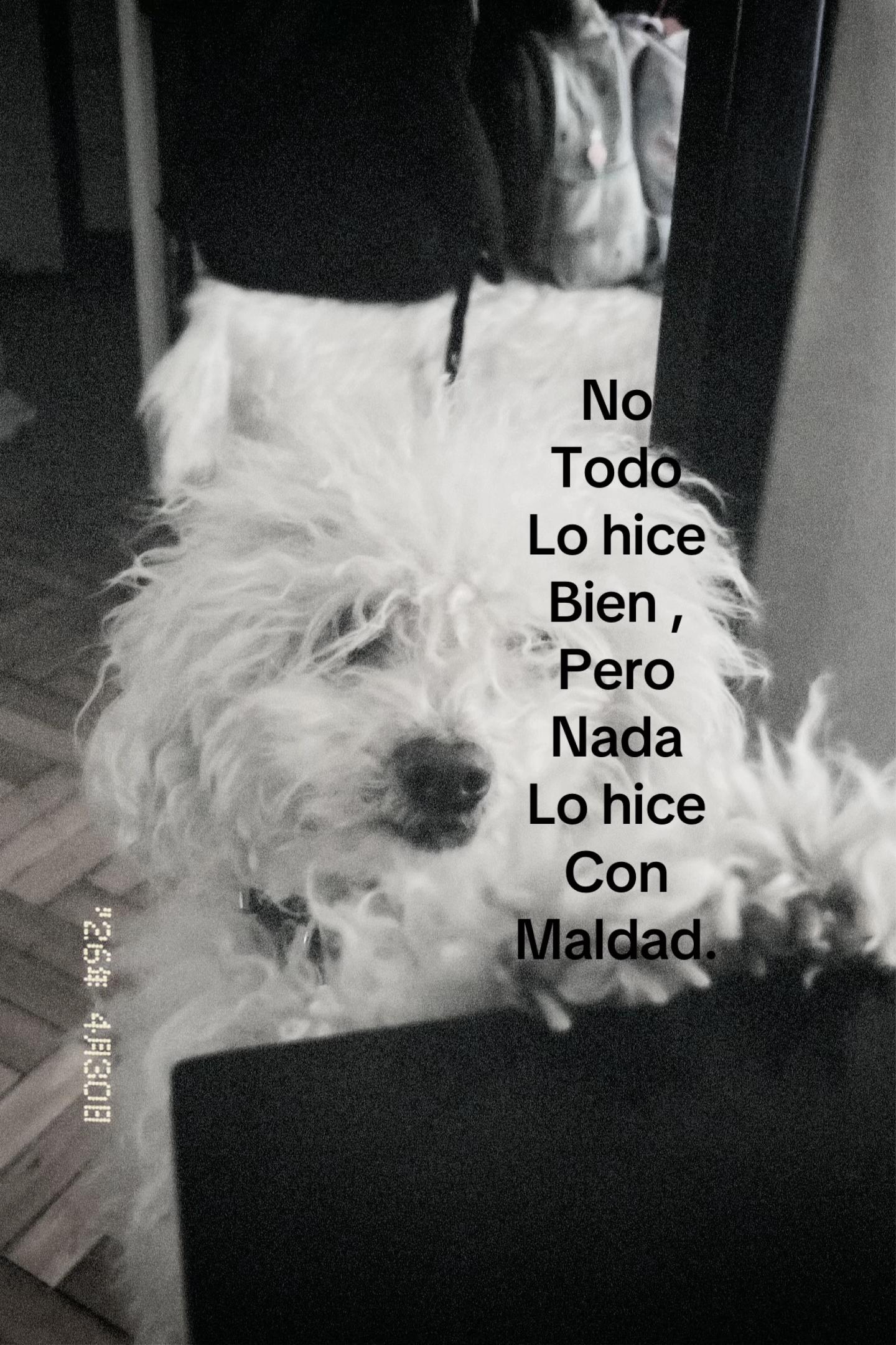 @indi pero mas 🆒