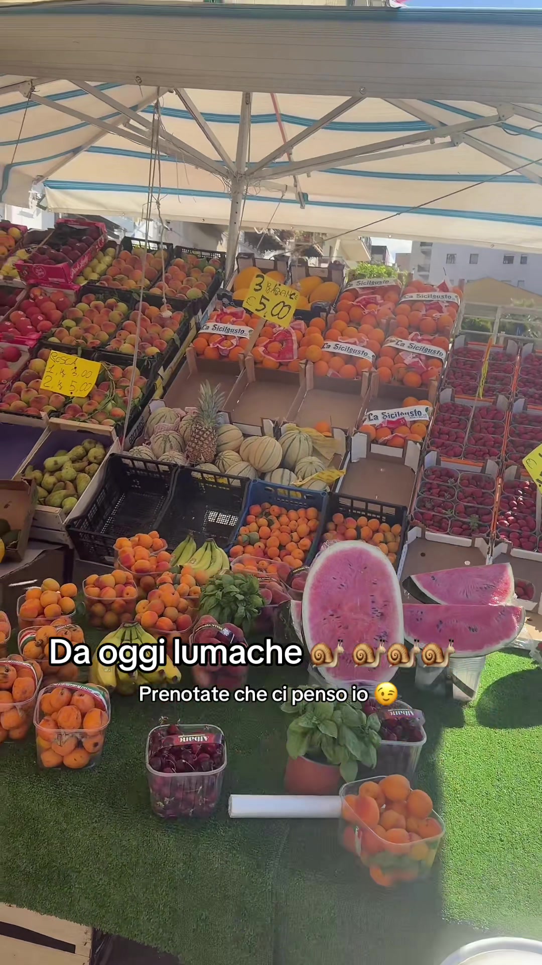 @Torregrossaortofrutta