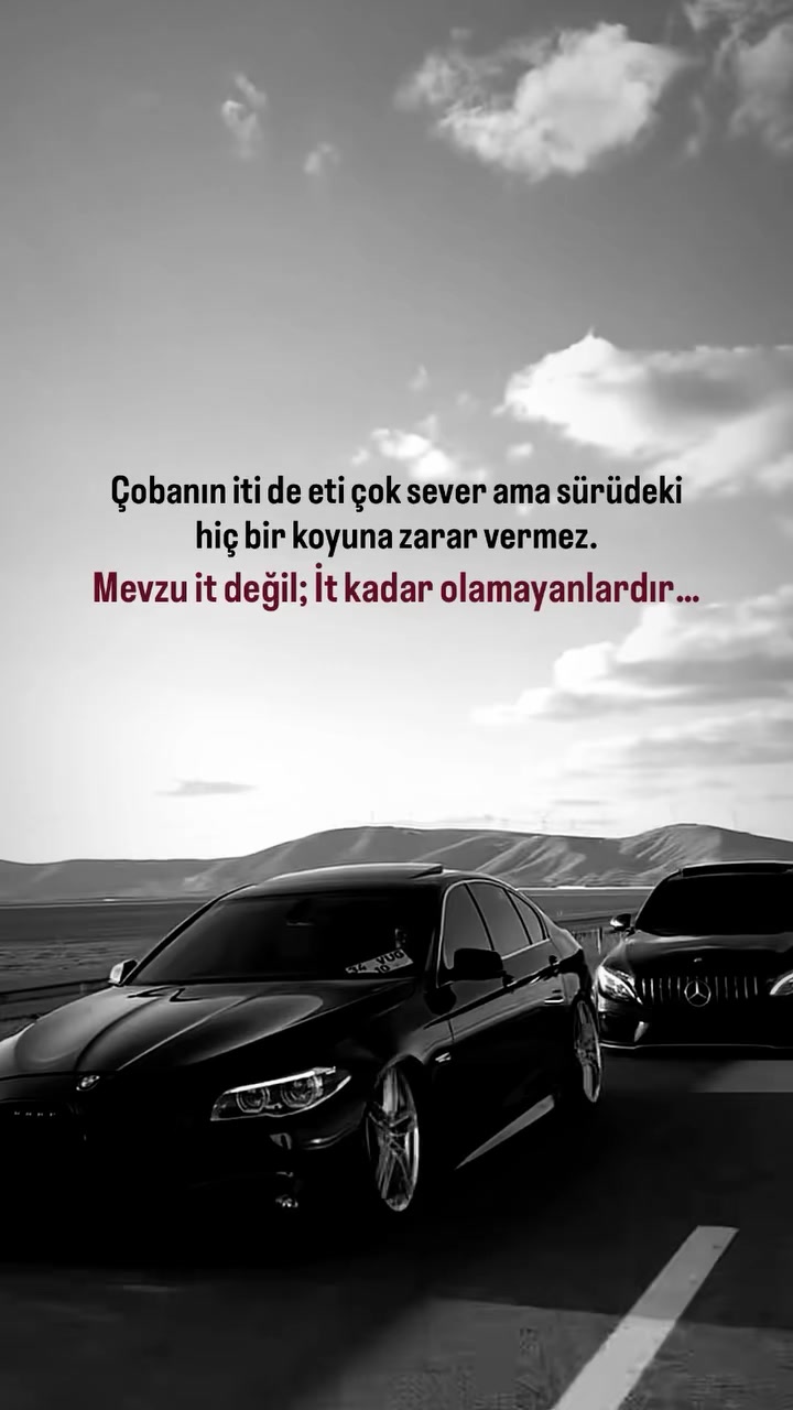 @hayattan izler
