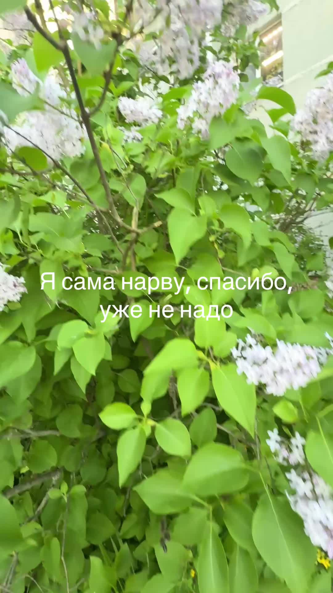 @Deych