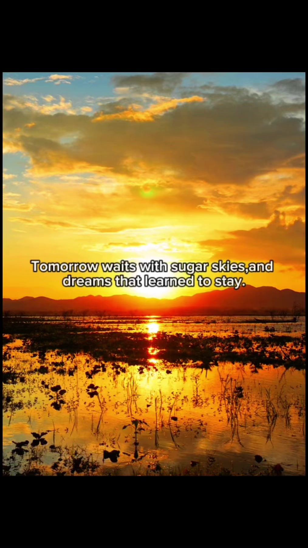 @dreamypoetryatmidnight