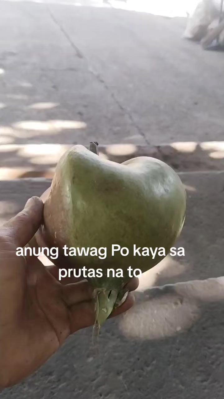 @Pamela rios vlog