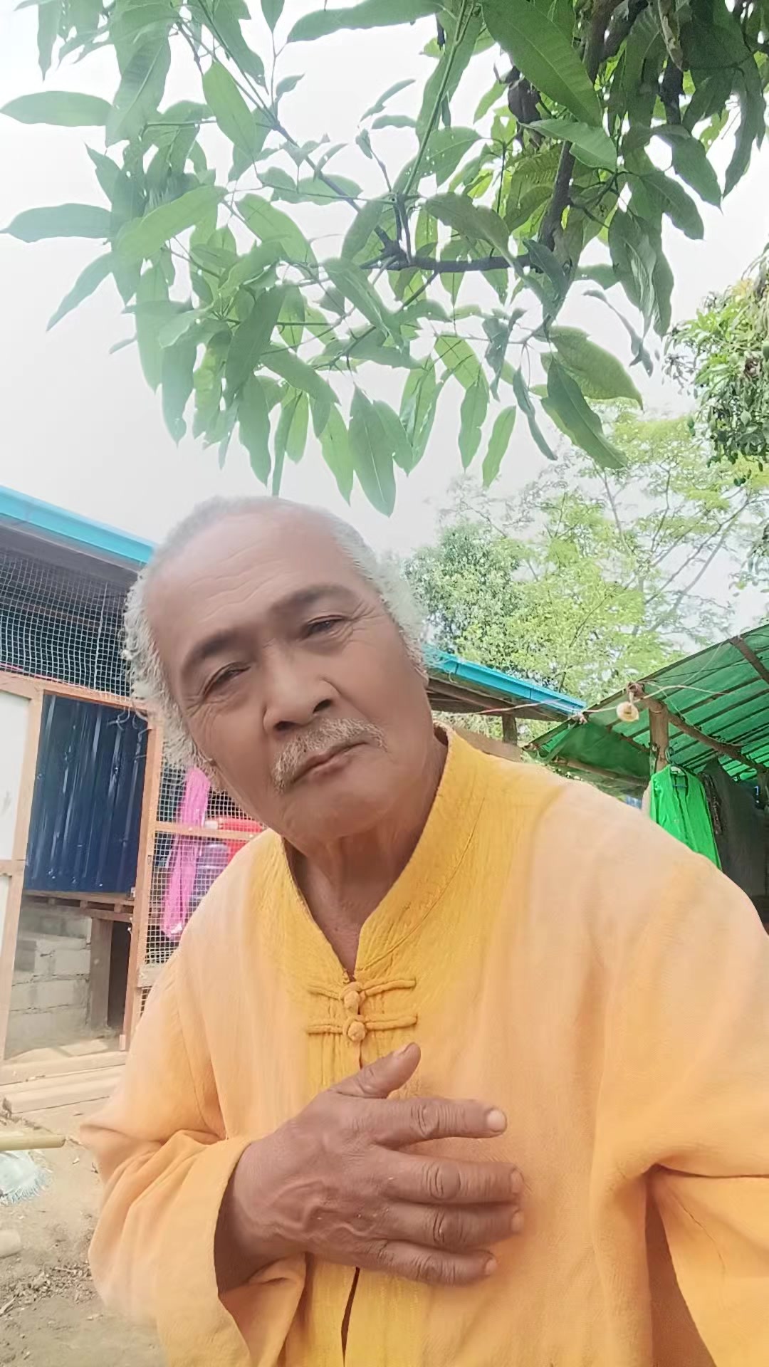 @Sai Lone
