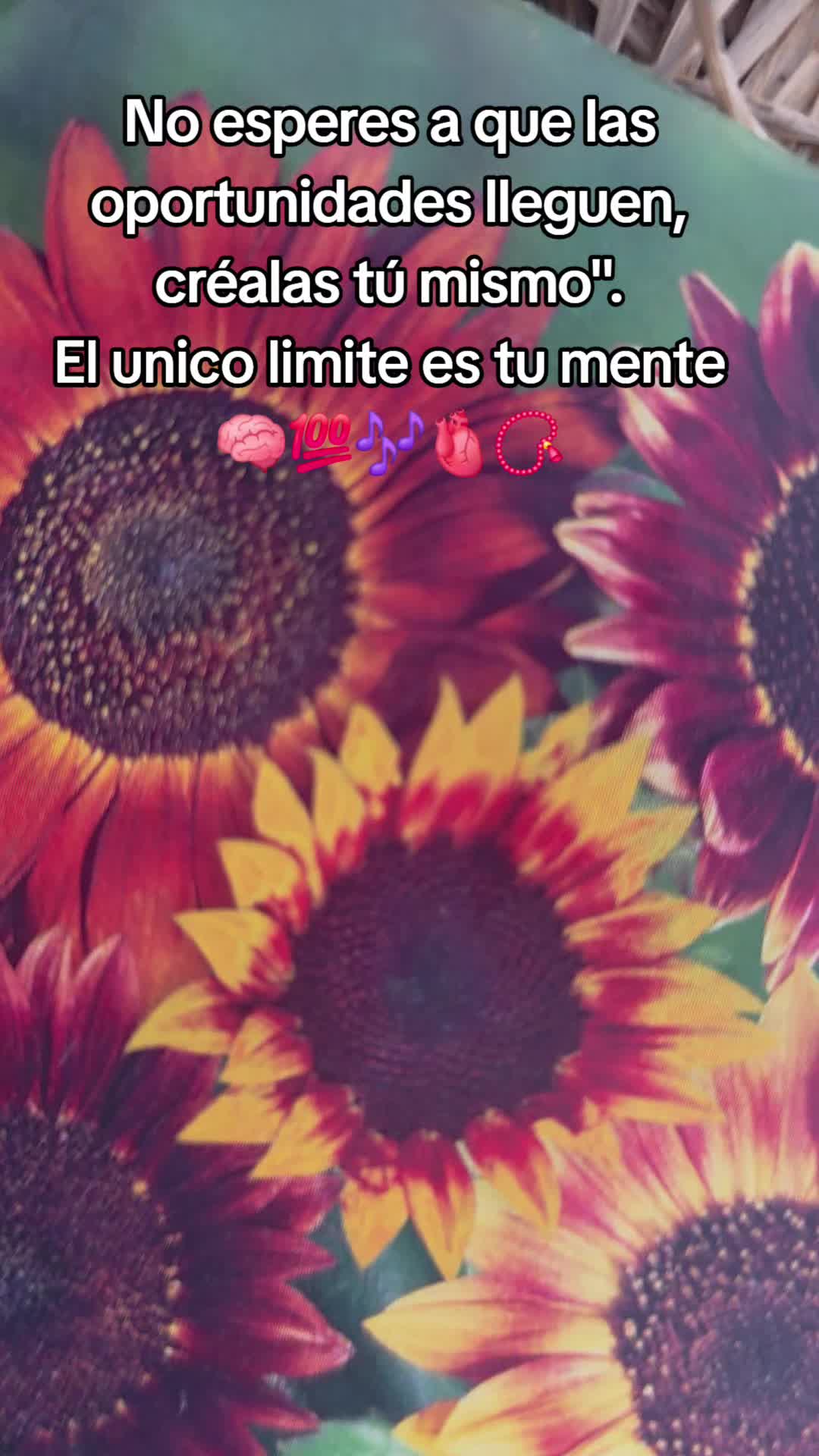 @𝙇𝙪𝙞𝙞502👨&zwj;🌾