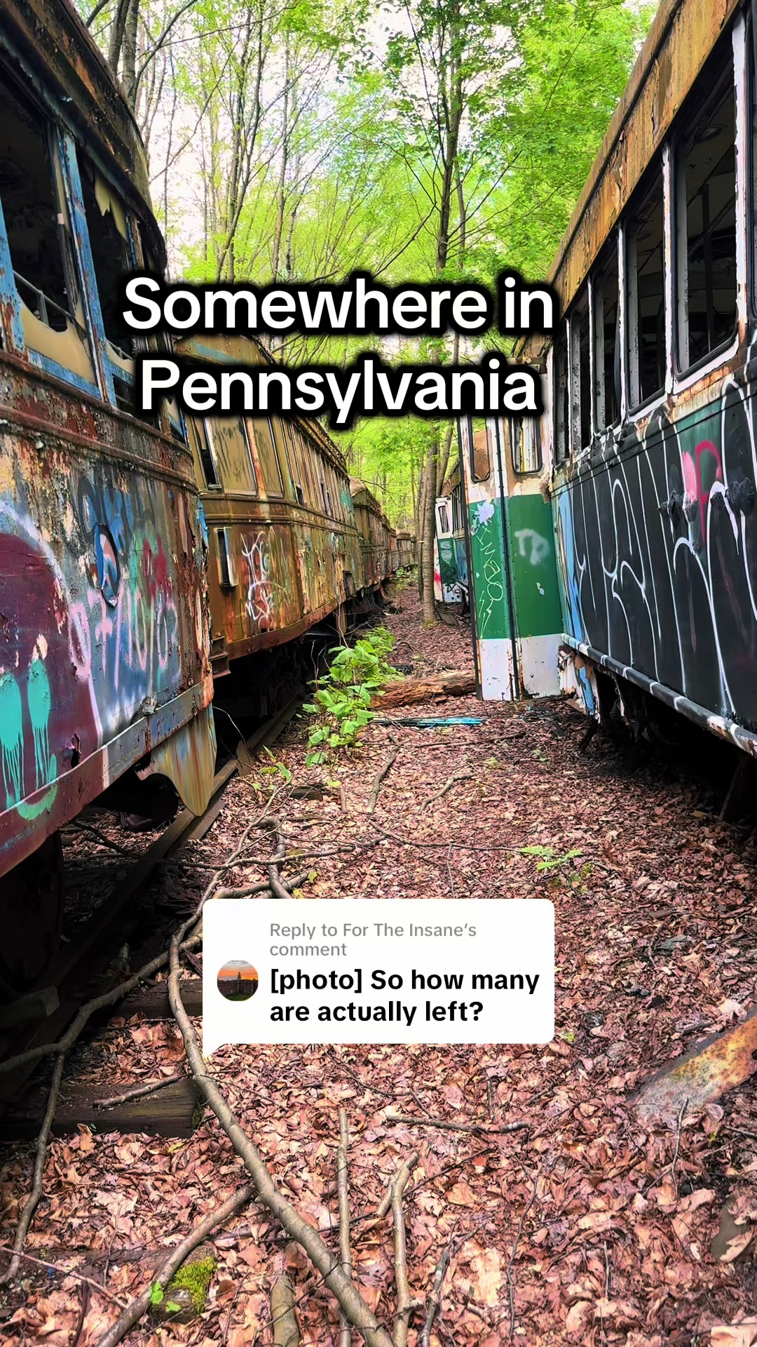 @Harmony | Somewhere in PA