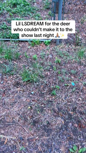 @marissa.blackman.official