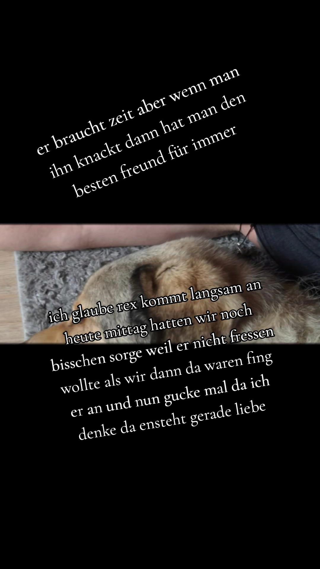 @Gnadenhof Zimmermann-Hesse