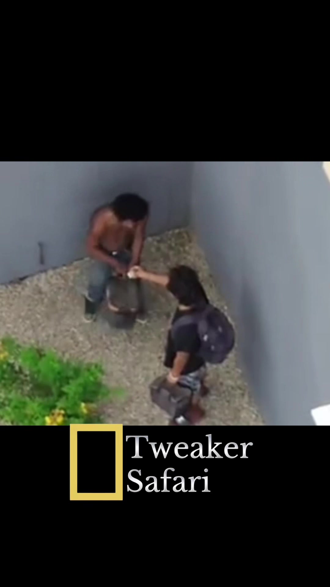 @The original tweaker safari