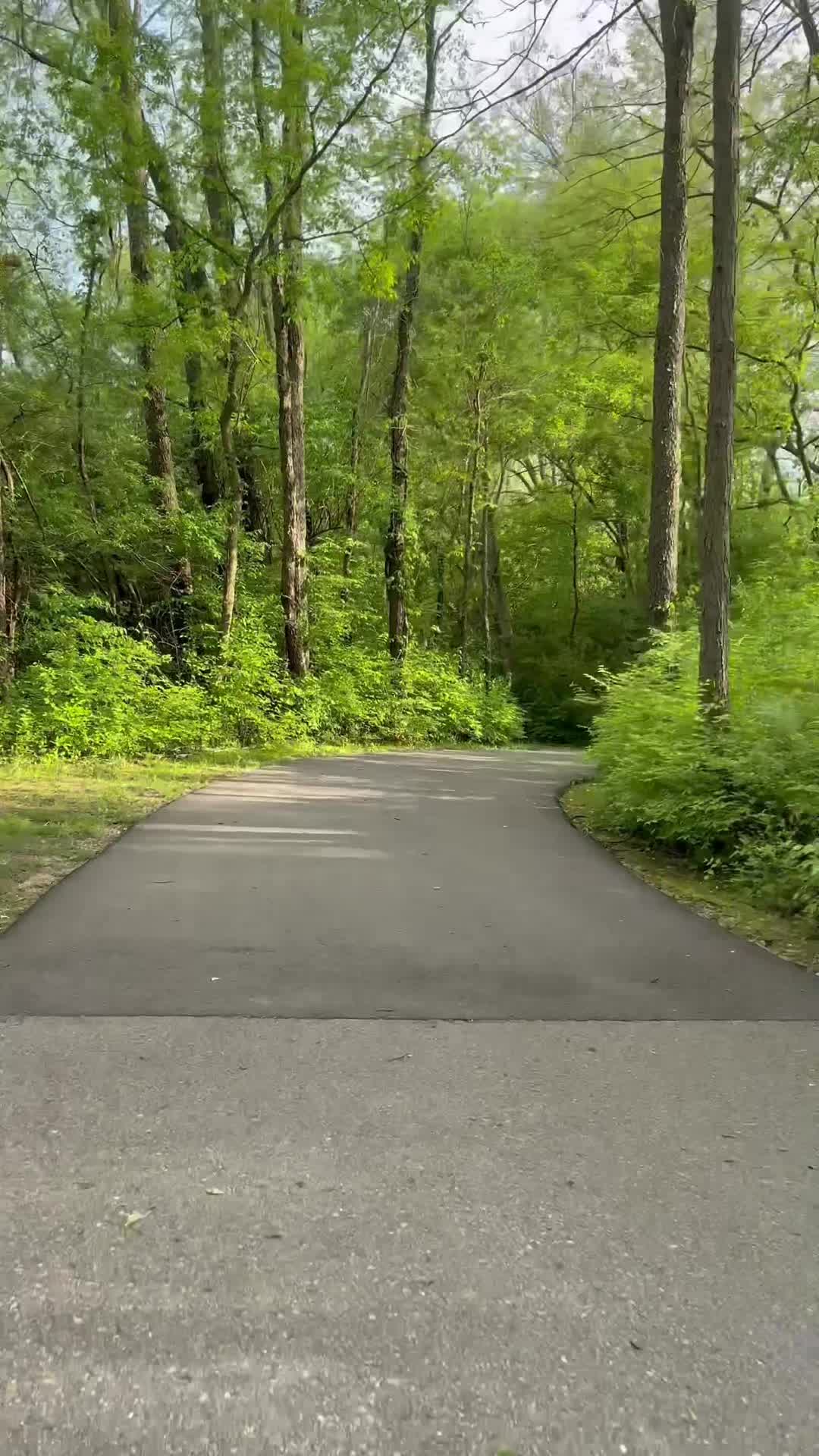 @ellenthejoy