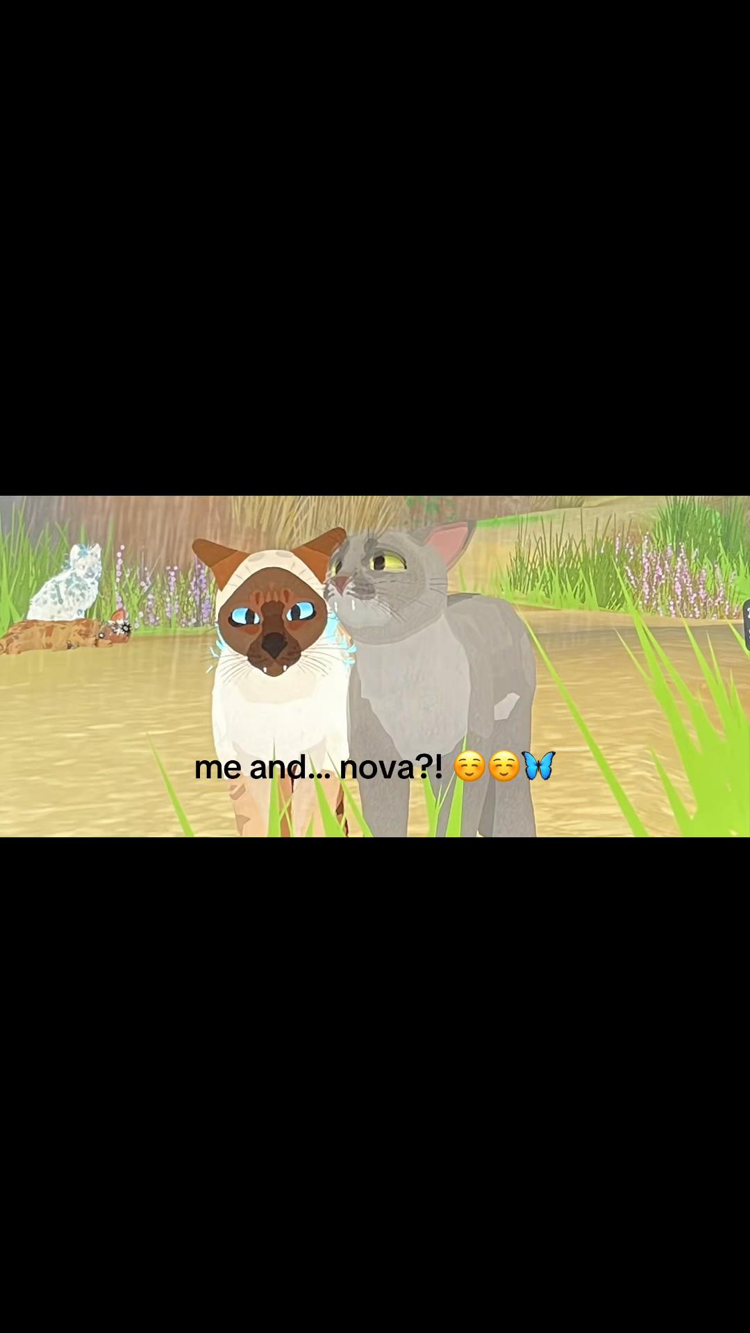 @Wild.kiwi8