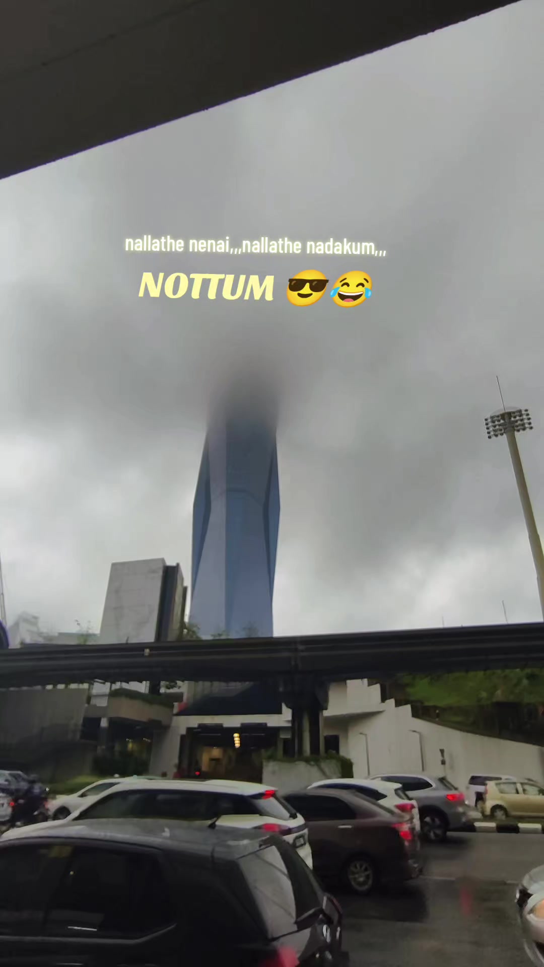 @【｡_｡】 🌚🌝🅼🅾🅶🅰🅽 🐯🌎【｡_｡】