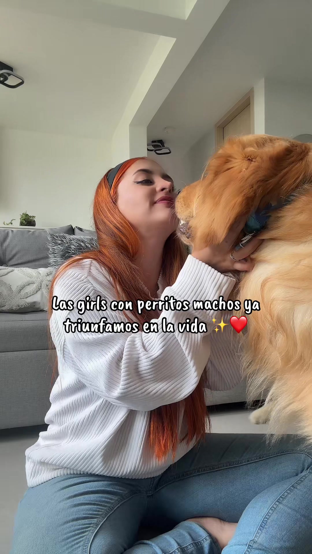 @Soy Milo 🐶