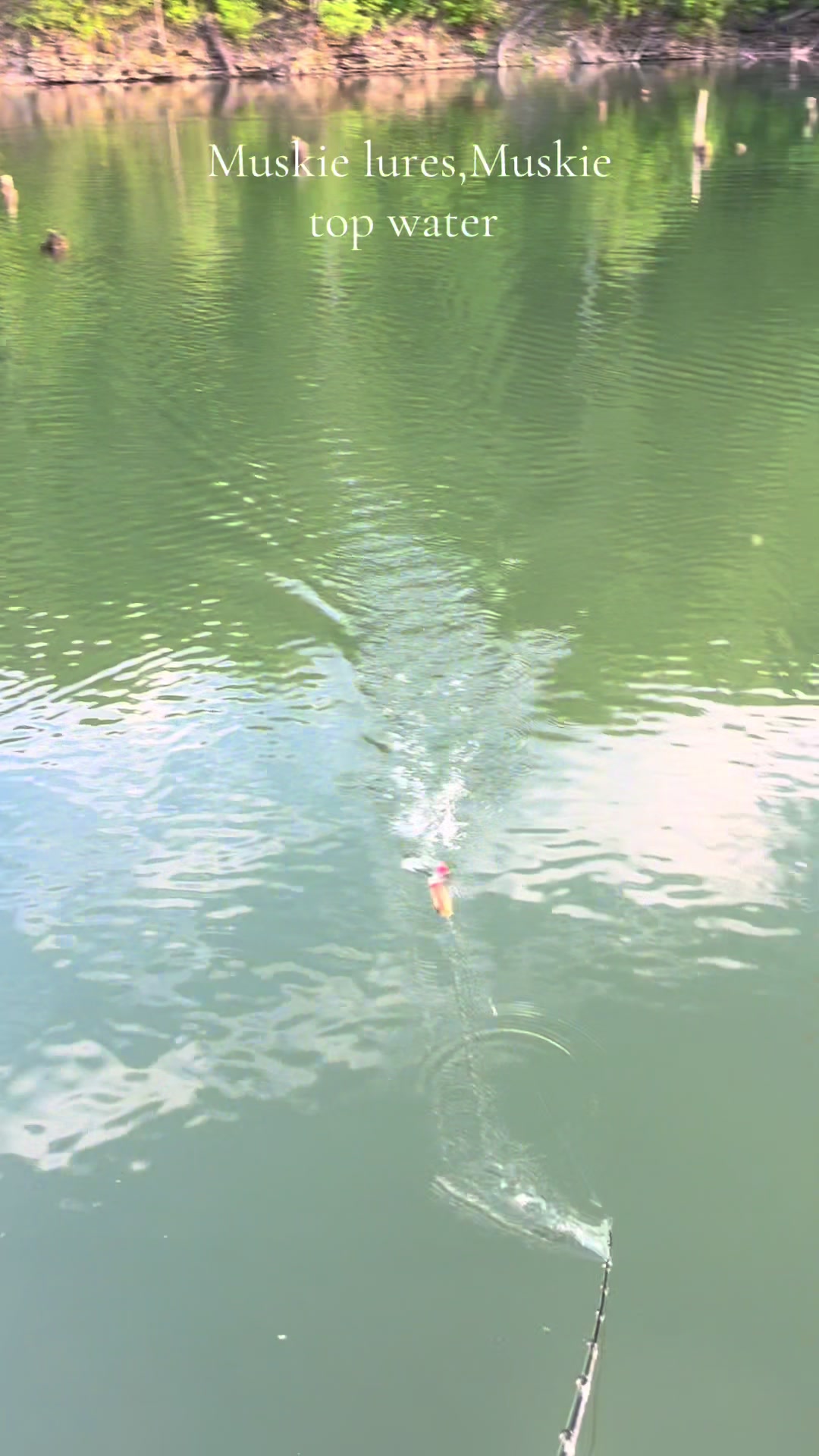 @JW Lures