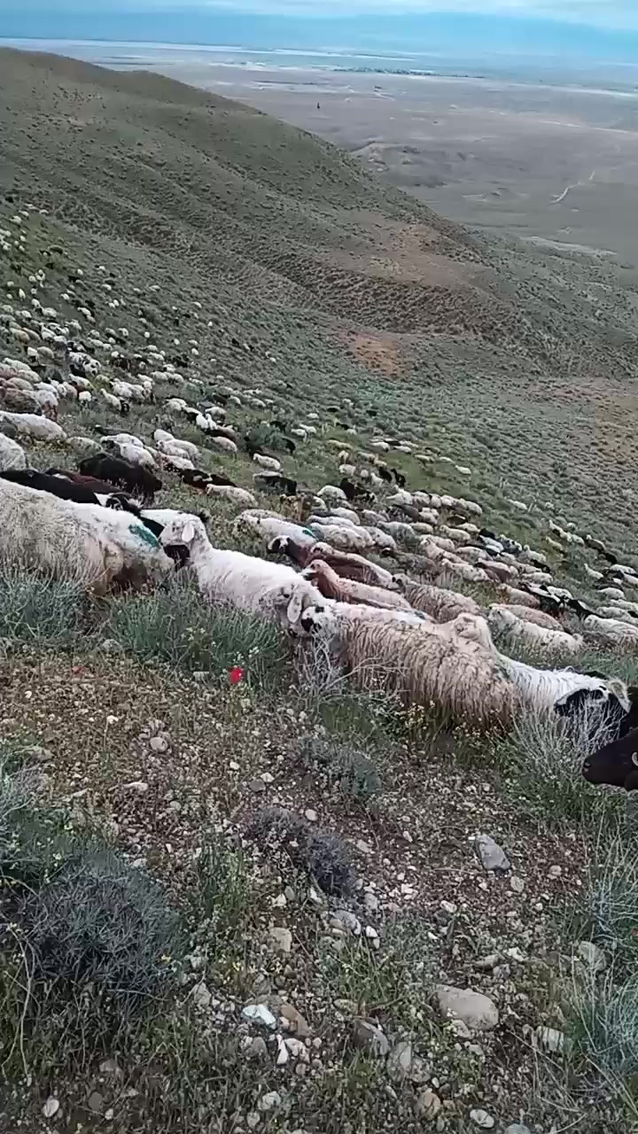 @Zahid cehrili