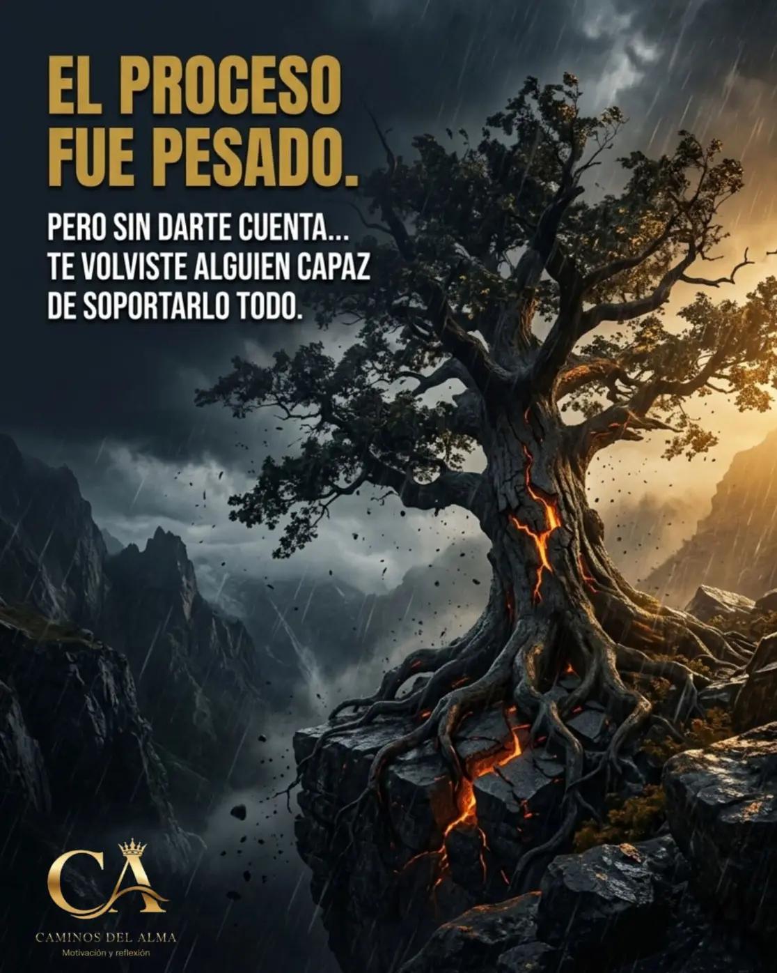 @alfonsogarcia191