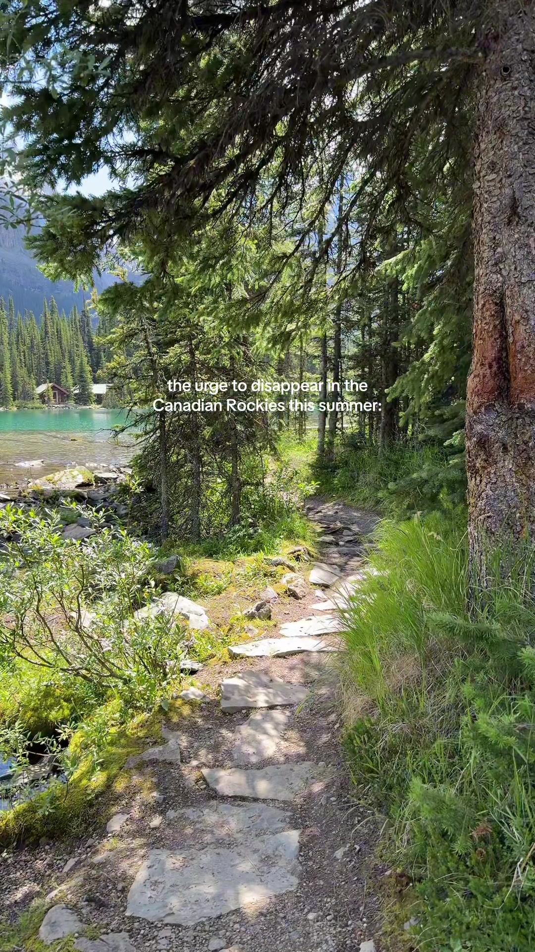 @Katia