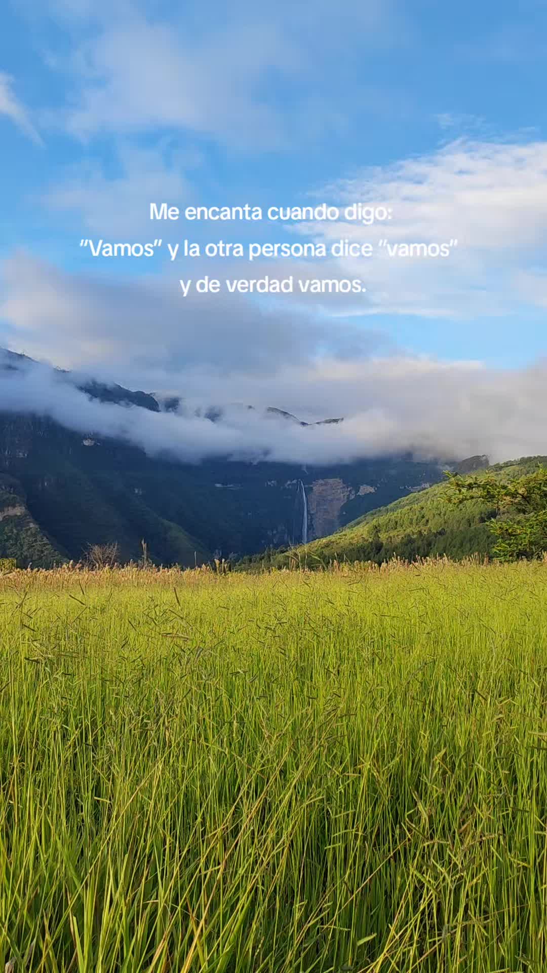 @Tali Becerra