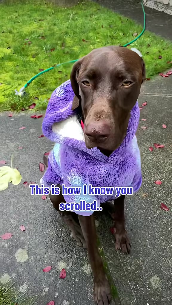@Rocky_and_mom 🐾❤️🐶