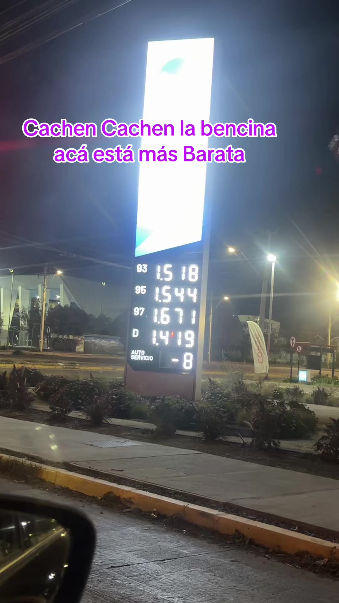@Erika Pirona