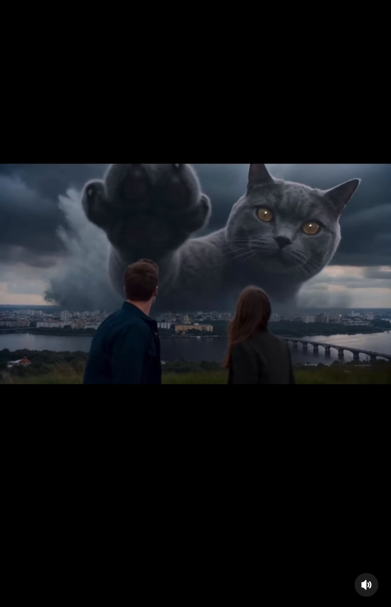 @Anakin Catwalker