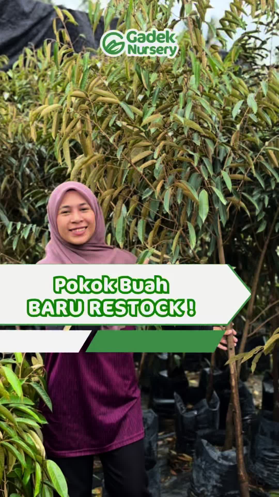 @Gadek Nursery