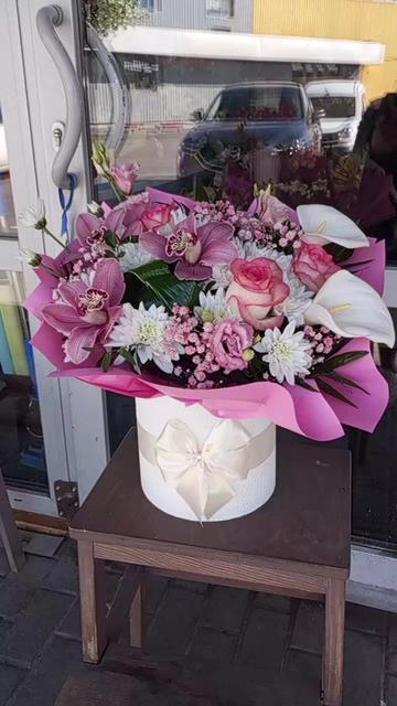 @Solnishko 777🌞❤️🕊️