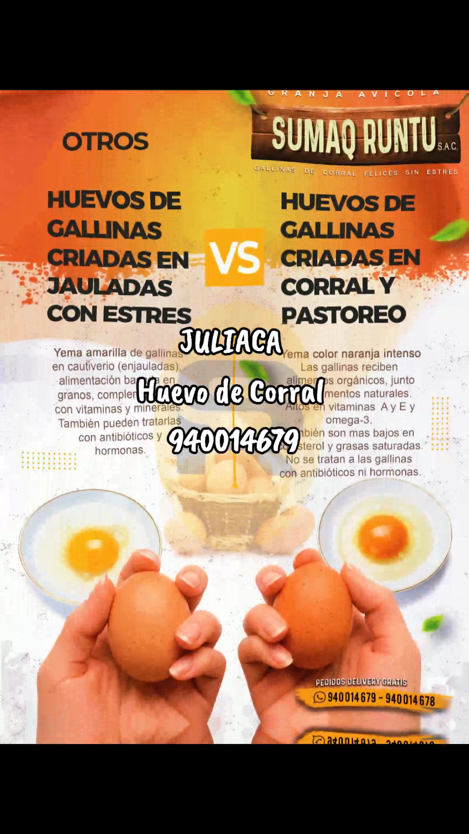 @HUEVOS DE CORRAL JULIACA