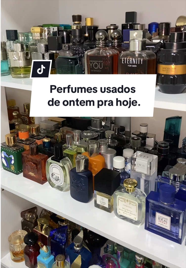 @Pedro | Koala