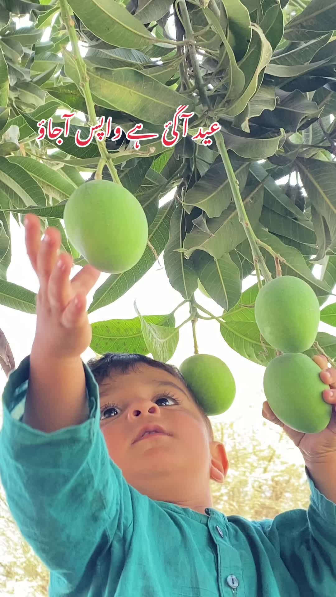 @Hadree Vlogs